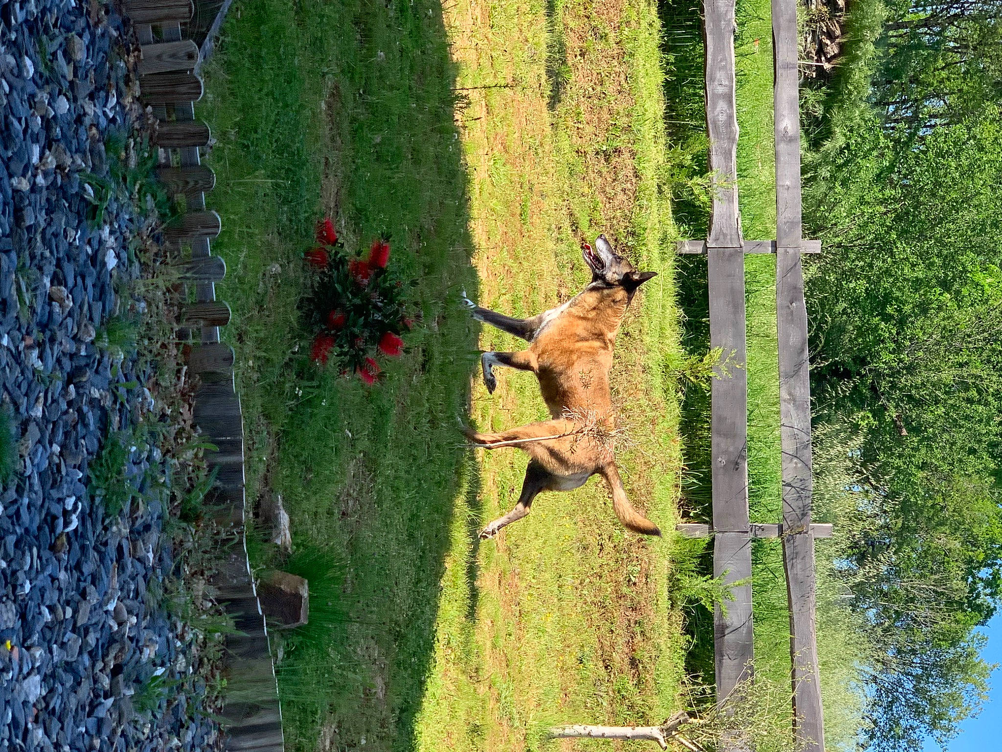 Jawak participe au concours pour gagner de l'argent avec cette photo : art, biome, botany, forest, garden, grass, groundcover, landscape, landscaping, leisure, nature_reserve, plant, sculpture, shrub, tree, trunk, vegetation, window, wood, woody_plant