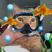 Simba joined the competition — help win amazing prizes! cat, orange_cat, digital_filter, diving_mask, goldfish, bubbles, hand, indoor, pixelated, pet, animal, funny, digital_art, underwater_theme, face_filter, close_up, feline, cute, playful, gadget