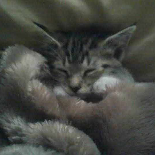 Raylan is registered to the contest to win money with this photo:
