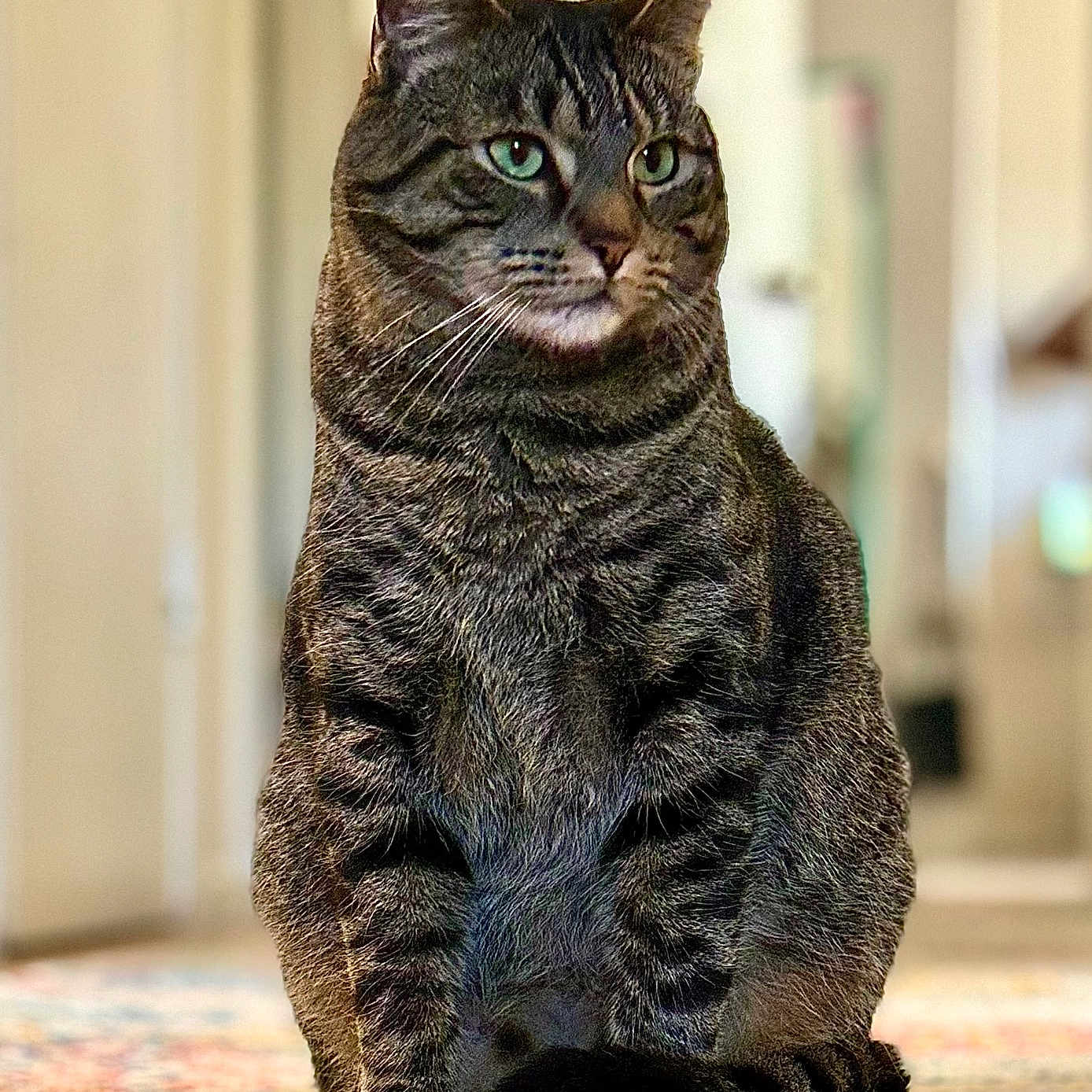 Darth Vader