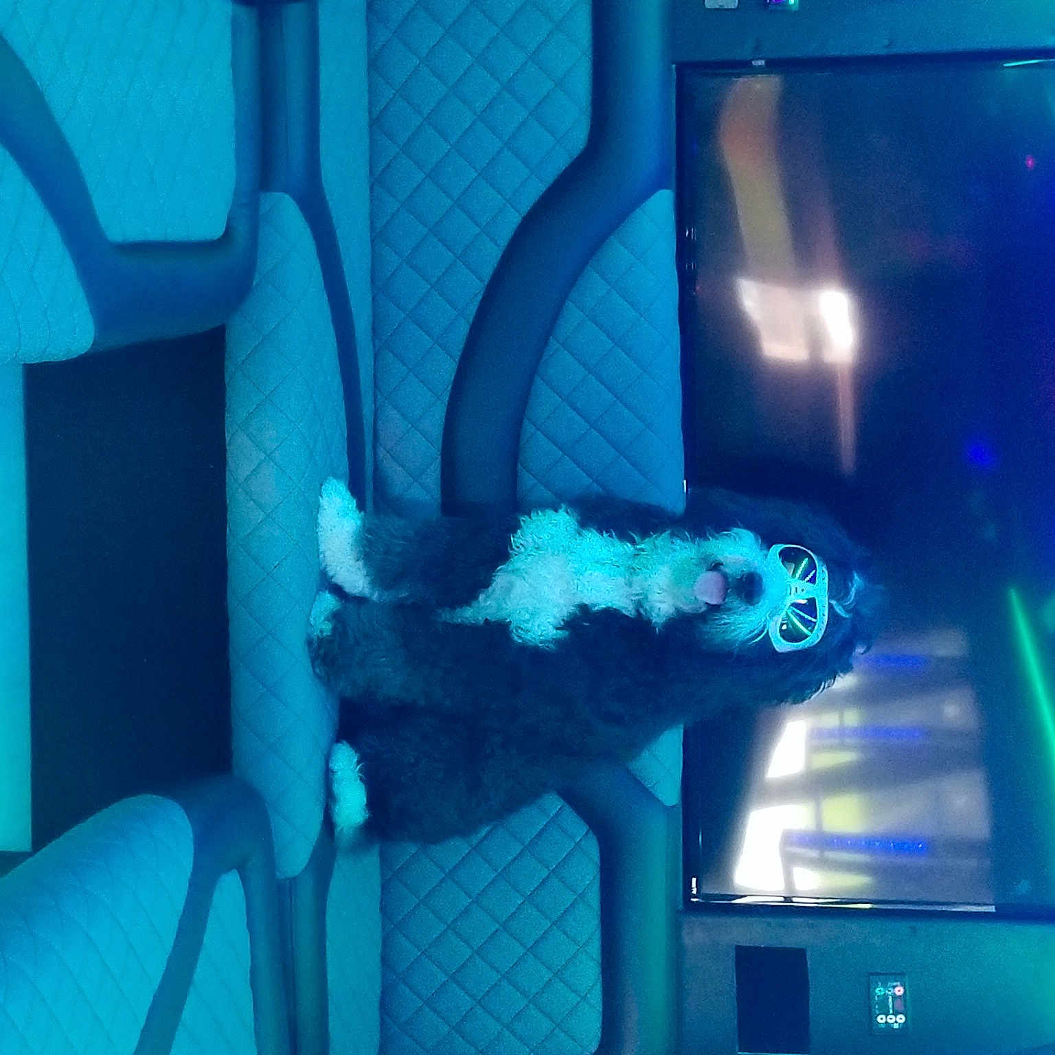 Babe Ruth joined the competition — help win amazing prizes! art, azure, blue, display_device, electric_blue, entertainment, event, fun, glass, human_leg, magenta, performance, performance_art, performing_arts, room, visual_arts, visual_effect_lighting, water, window