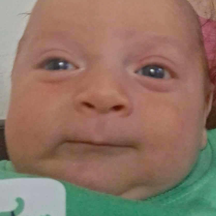 Jakob