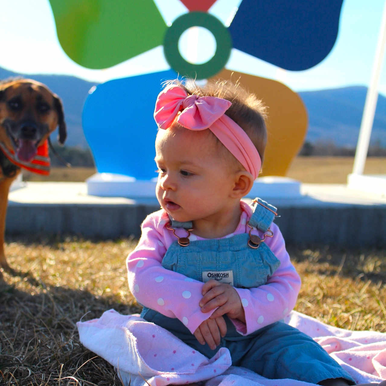 Sutton Ellie is registered to the contest to win money with this photo: accessories, animal, baby, balloon, canine, clothing, dog, face, grass, head, jeans, pants, person, pet, photography, pingpong, pingpongpaddle, plant, portrait, racket