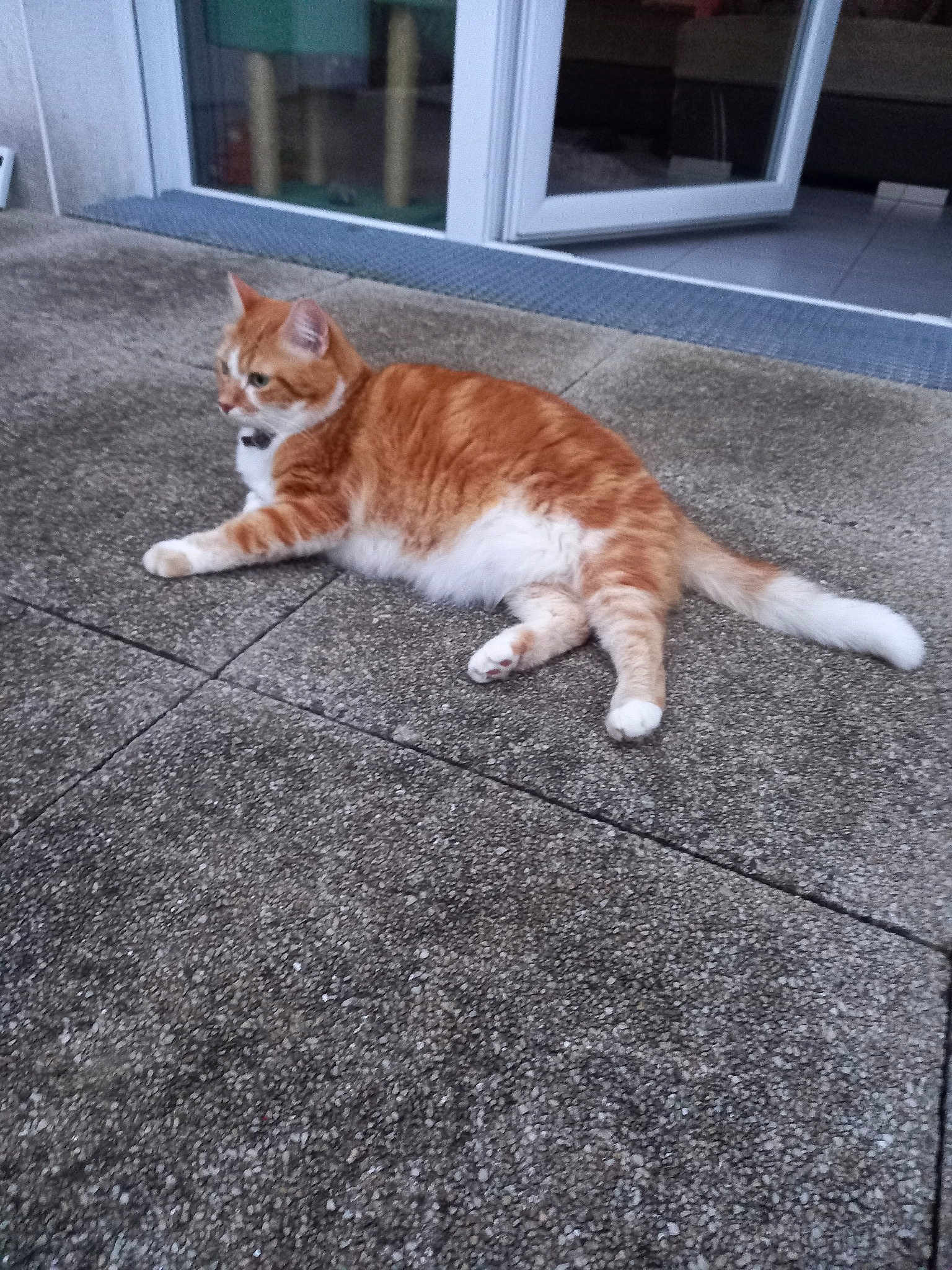 Tiji