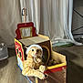 cat, orange_tabby, cardboard_box, pirate_ship, hat, bonnet, indoor, wooden_floor, curtains, pet, animal, cute, playful, feline, wide_eyed, resting, toy, anchor, decorative, household