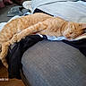 cat, orange_tabby, sleeping, couch, furniture, blanket, clothes, indoor, relaxed, pet, fur, cozy, home, resting, animal, domestic_animal, nap, comfortable, tabby, lazy