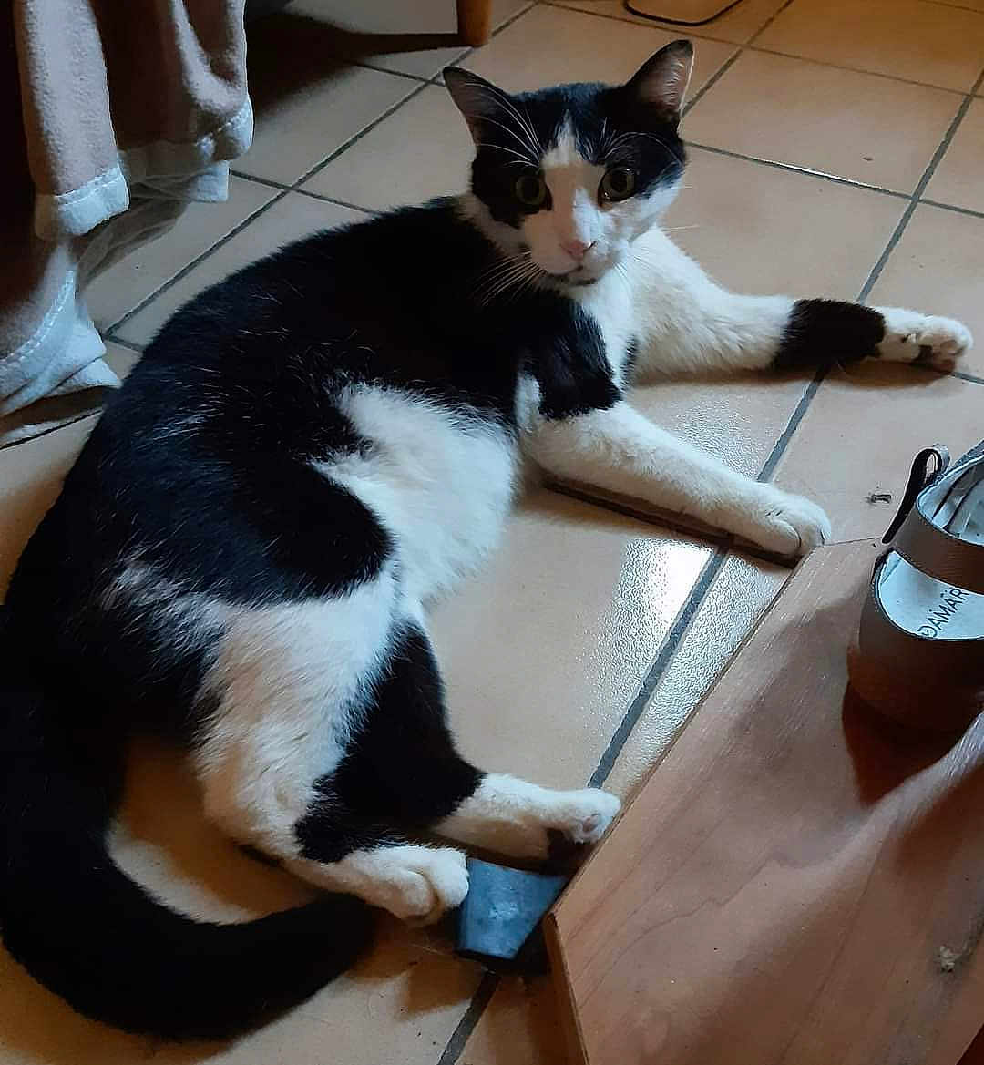 Max