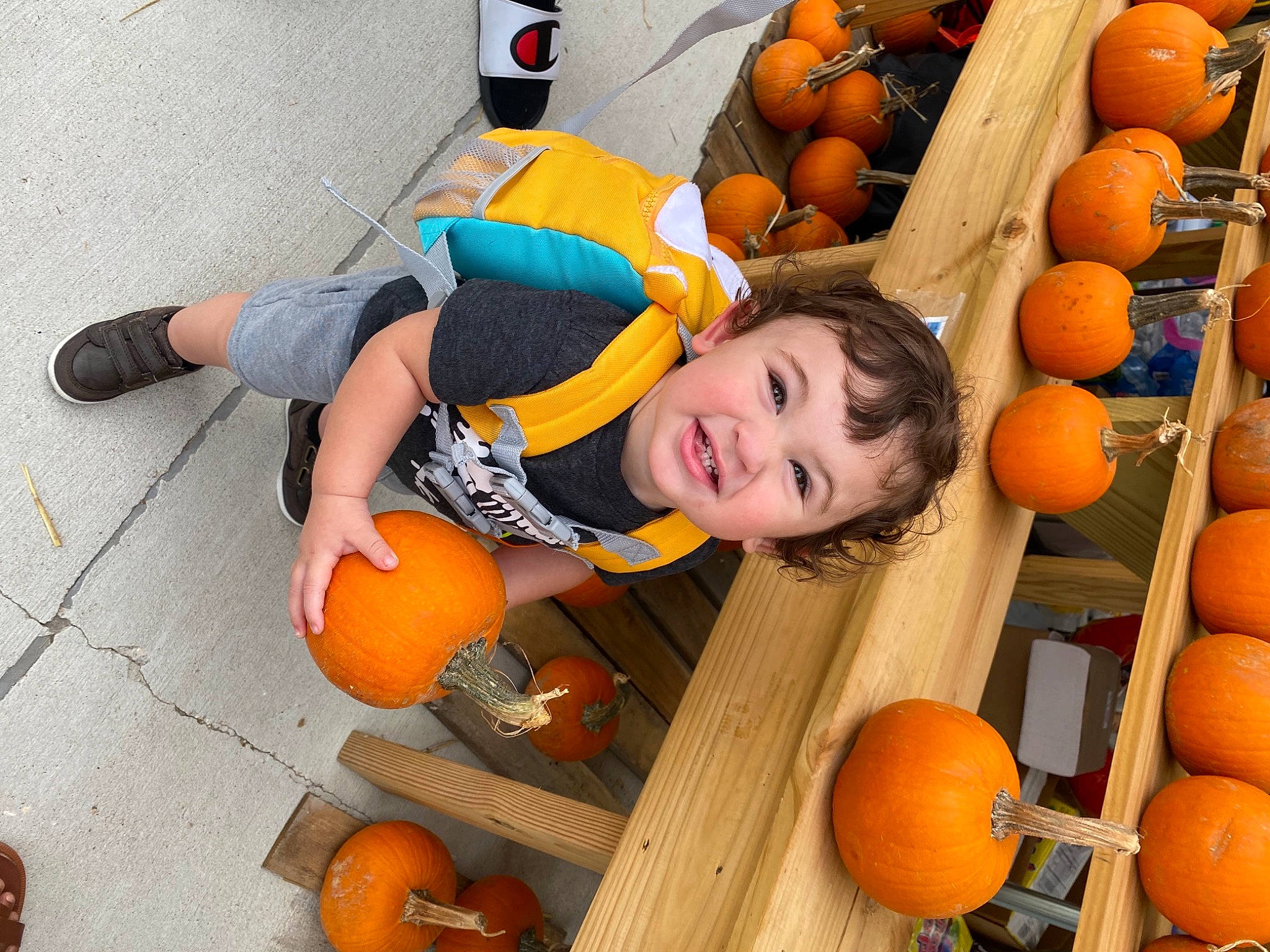 Rowan is registered to the contest to win money with this photo: calabaza, cucurbita, facial_expression, fruit, gourd, happy, local_food, natural_foods, orange, person, photograph, plant, produce, pumpkin, smile, squash, superfood, toddler, vegetable, whole_food