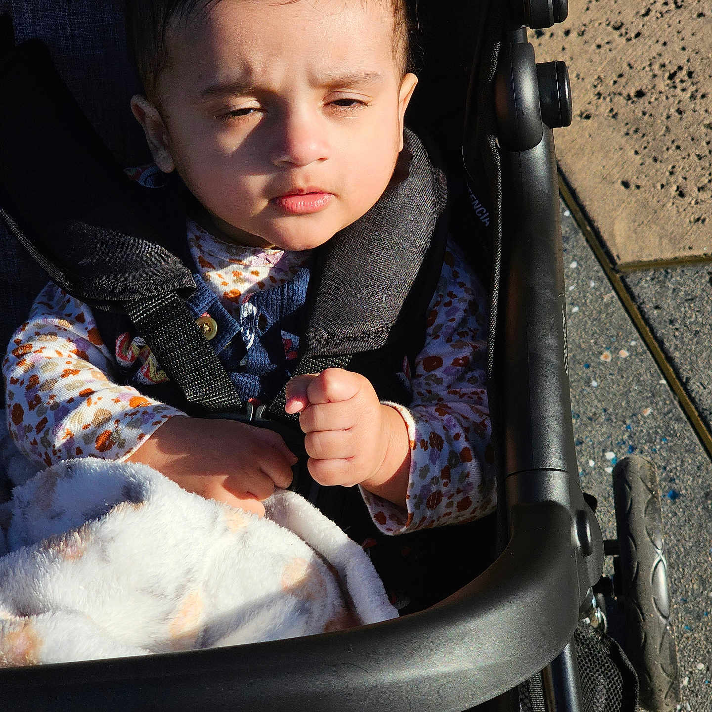 Eirika is registered to the contest to win money with this photo: animal, baby, bed, bodypart, car, car_interior, carseat, cat, face, finger, furniture, hand, head, person, pet, photography, portrait, stroller, transportation, vehicle