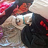 Bébé a rejoint le concours — aidez-le/la à gagner de superbes lots ! animal, bed, blankets, collar, comfort, cozy, cute, dog, domestic, fur, indoor, peaceful, pet, pillow, relaxation, resting, sleeping, small_dog, snuggled, white_dog
