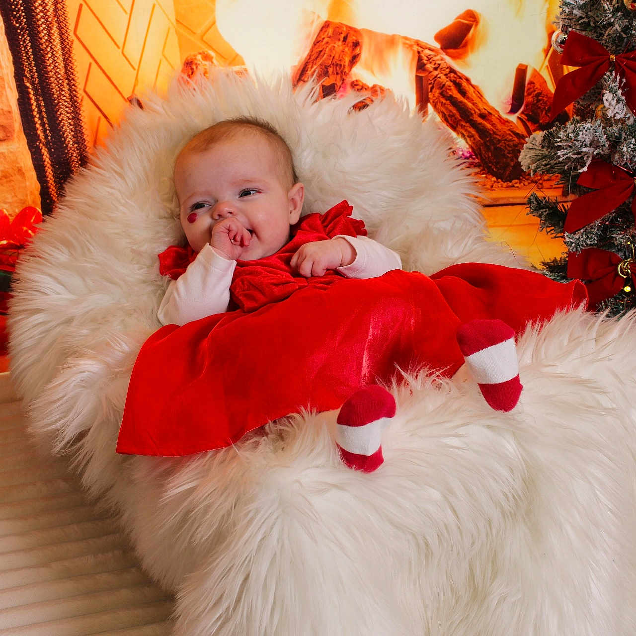 Leila is registered to the contest to win money with this photo: animal, baby, blanket, canine, couch, cushion, dog, face, festival, furniture, happy, head, homedecor, newborn, person, pet, photography, portrait, sleeping, smile