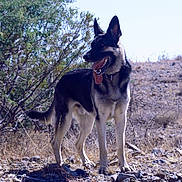 Bo is registered to the contest to win money with this photo: