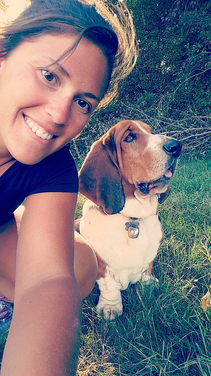 Kooky participe au concours pour gagner de l'argent avec cette photo : brown_hair, canidae, carnivore, collar, companion_dog, dog, dog_breed, dog_collar, eyelash, hound, hunting_dog, liver, mammal, pointing_breed, portrait_photography, scent_hound, selfie, sporting_group, tooth, working_animal