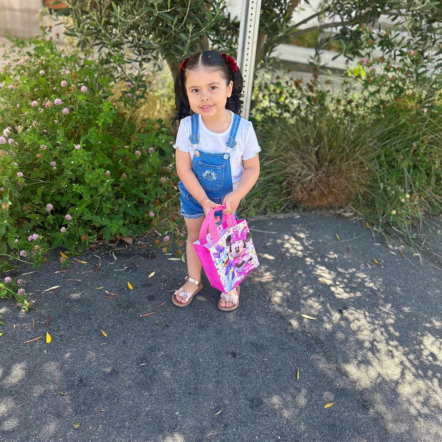 Jmilah joined the competition — help win amazing prizes! bag, casual_clothing, child, cute, denim_overalls, flowers, girl, greenery, minnie_mouse, outdoor, pigtails, pink, plants, sandals, shadows, sidewalk, smiling, standing, sunlight, white_tshirt