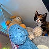 animal, background, blue, calico, cat, colorful, cozy, ears, eyes, feline, indoor, kitten, pet, playful, plush_toy, portrait, sitting, stuffed_animal, toy, whiskers