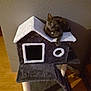 cat, gray_cat, cat_tree, indoor, pet, feline, house_shaped_cat_tree, wooden_floor, wall, curious, relaxed, looking, animal, cozy, furniture, paw, texture, home, domestic, resting