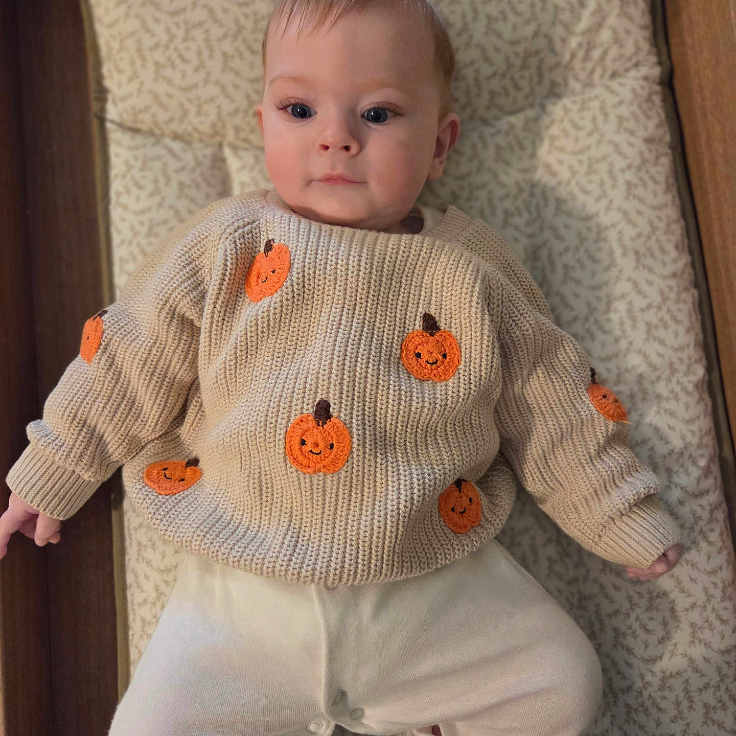 Louie is registered to the contest to win money with this photo: baby, child, comfortable, cozy, cushion, cute, expression, face, feet, hands, indoors, infant, knitwear, lying_down, pattern, portrait, pumpkin, soft_lighting, sweater, warm_clothing