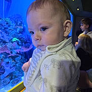 Louie joined the competition — help win amazing prizes! baby, child, aquarium, coral, marine_life, blue_light, indoor, people, portrait, curious, face, clothing, elephant_print, young_child, depth_of_field, blurry_background, observation, cute, infant, human