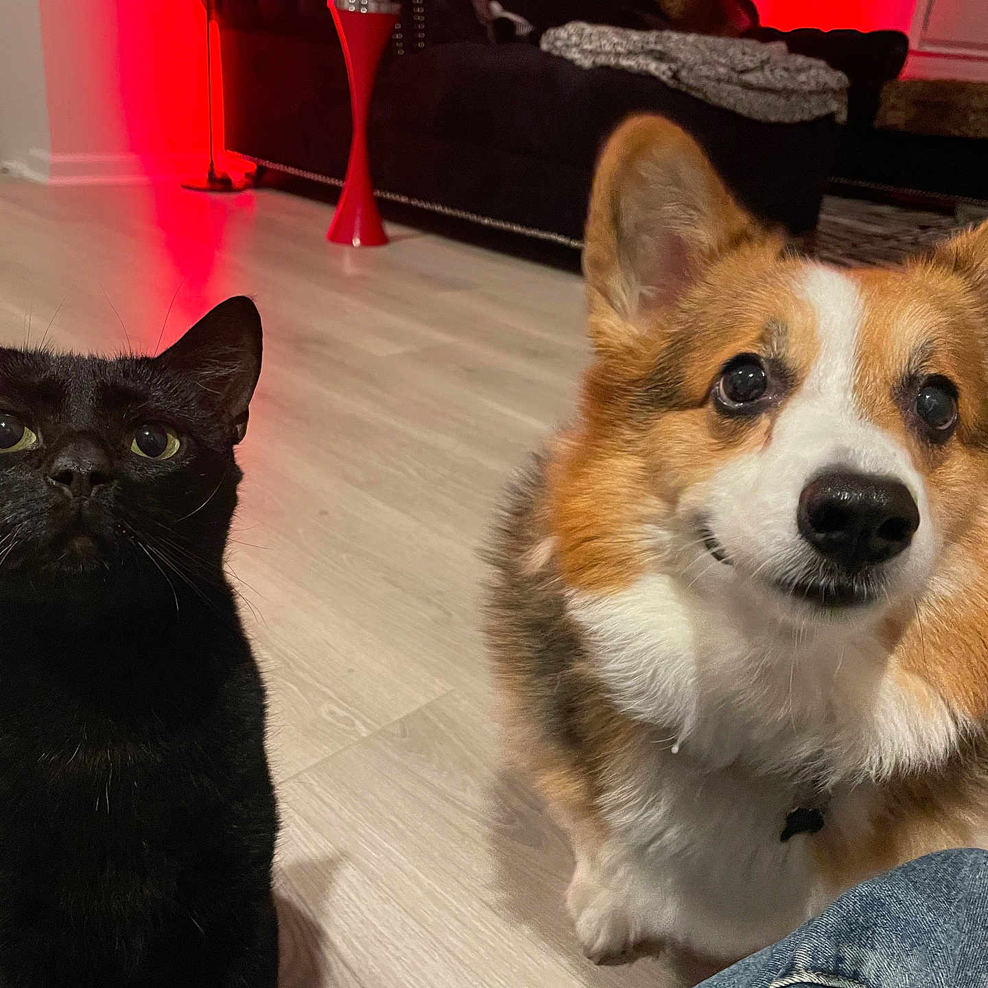 Bunny And Henry