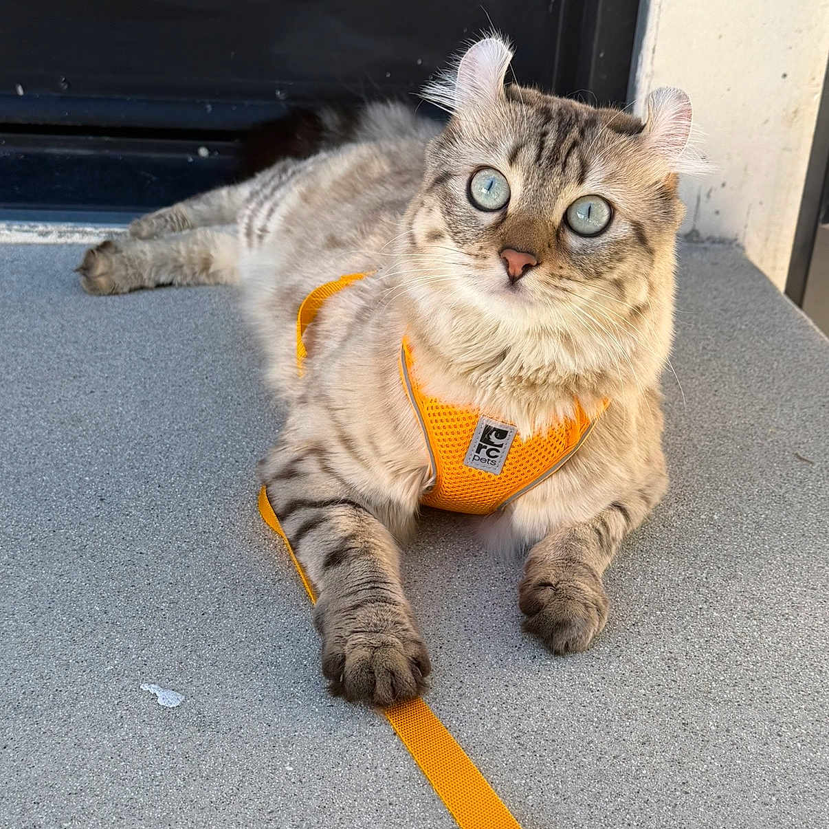 Luna
