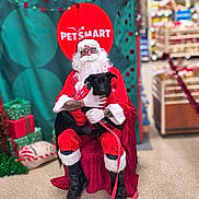 Artemis is registered to the contest to win money with this photo: beard, black_dog, celebration, chair, christmas, costume, dog, festive, glasses, holiday_decorations, indoor, leash, person, pet_smart, red_sweater, santa_claus, smile, store, tattoo, wrapped_presents