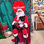 beard, black_dog, celebration, chair, christmas, costume, dog, festive, glasses, holiday_decorations, indoor, leash, person, pet_smart, red_sweater, santa_claus, smile, store, tattoo, wrapped_presents