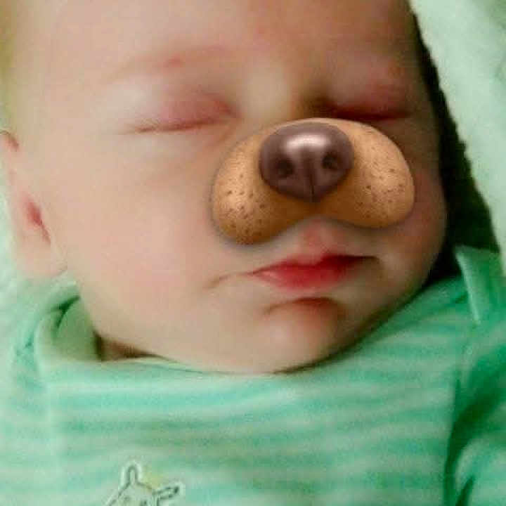Nicklas joined the competition — help win amazing prizes! baby, infant, sleeping, portrait, dog_filter, puppy_ears, puppy_nose, face_filter, green_clothing, striped_shirt, giraffe_design, bed, indoors, close_up, peaceful, cute, digital_effect, head, face, child