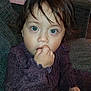 toddler, child, blue_eyes, brown_hair, couch, snack, cookie, hand, face, sweater, long_sleeve, indoor, portrait, curious, seated, close_up, fingers, looking_at_camera, young_child, cozy