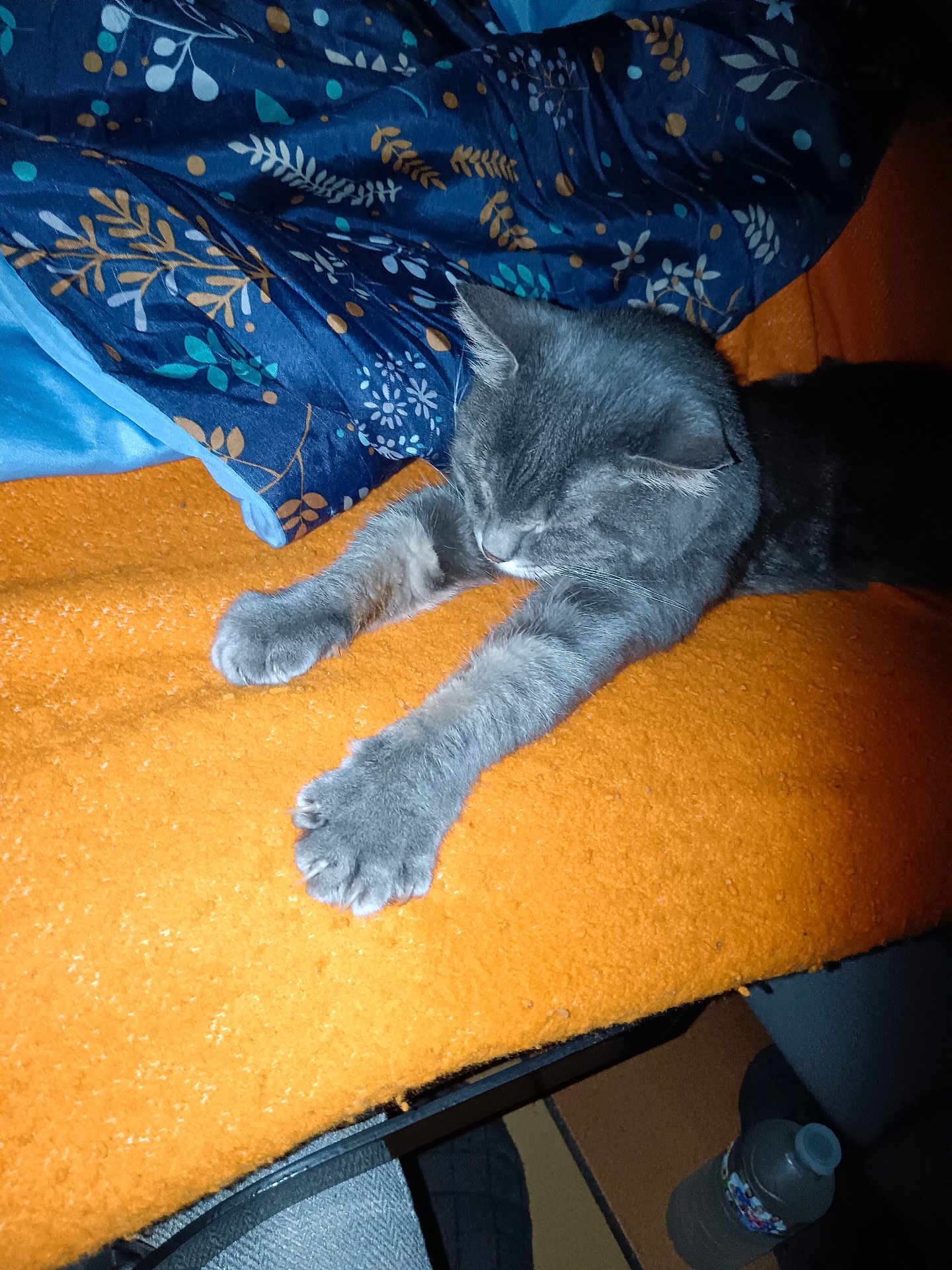 Ninounette