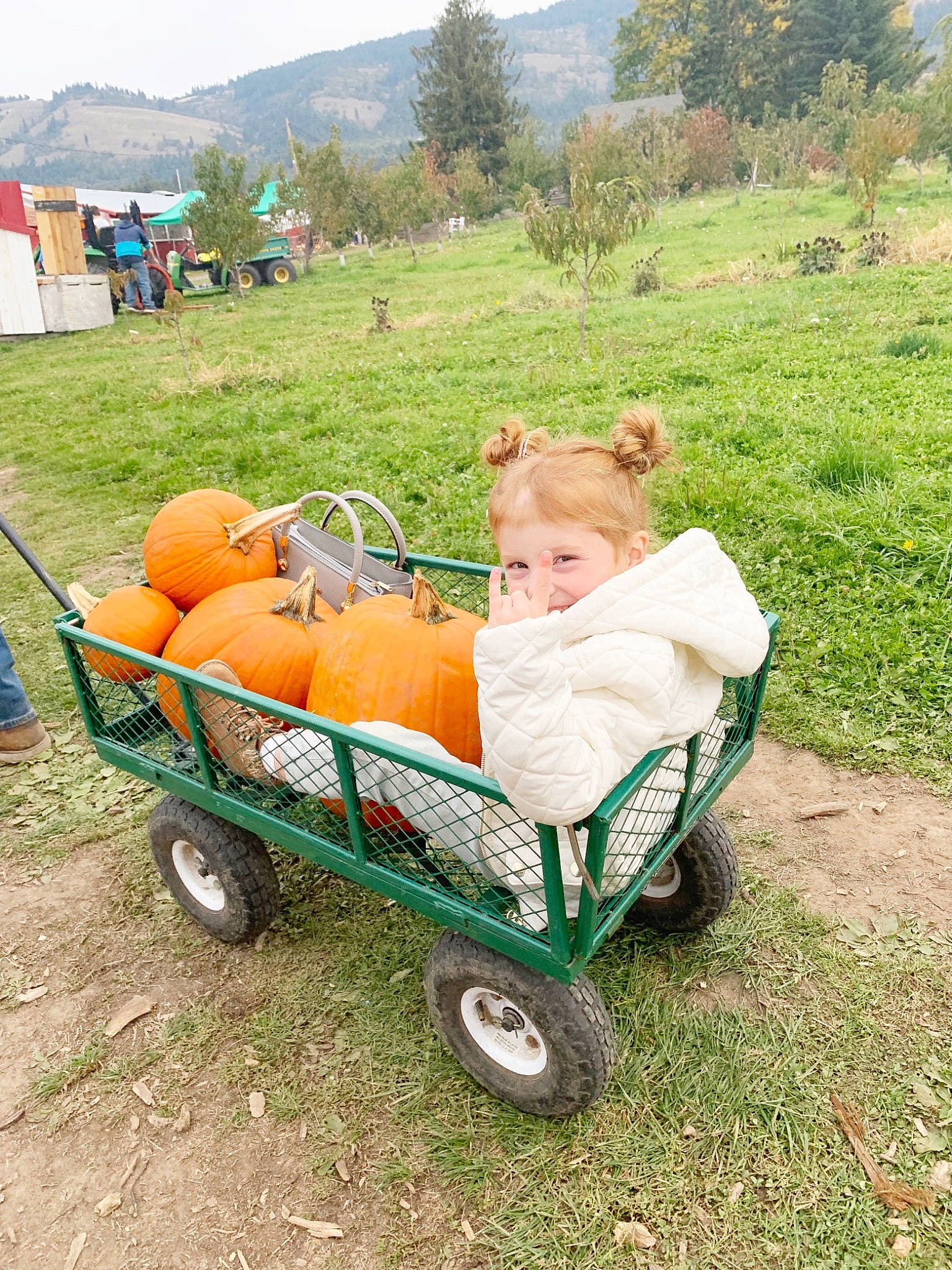 Bentley is registered to the contest to win money with this photo: cart, farm, grass, person, plant, pumpkin, vegetable, vehicle, wagon, wheelbarrow, winter_squash