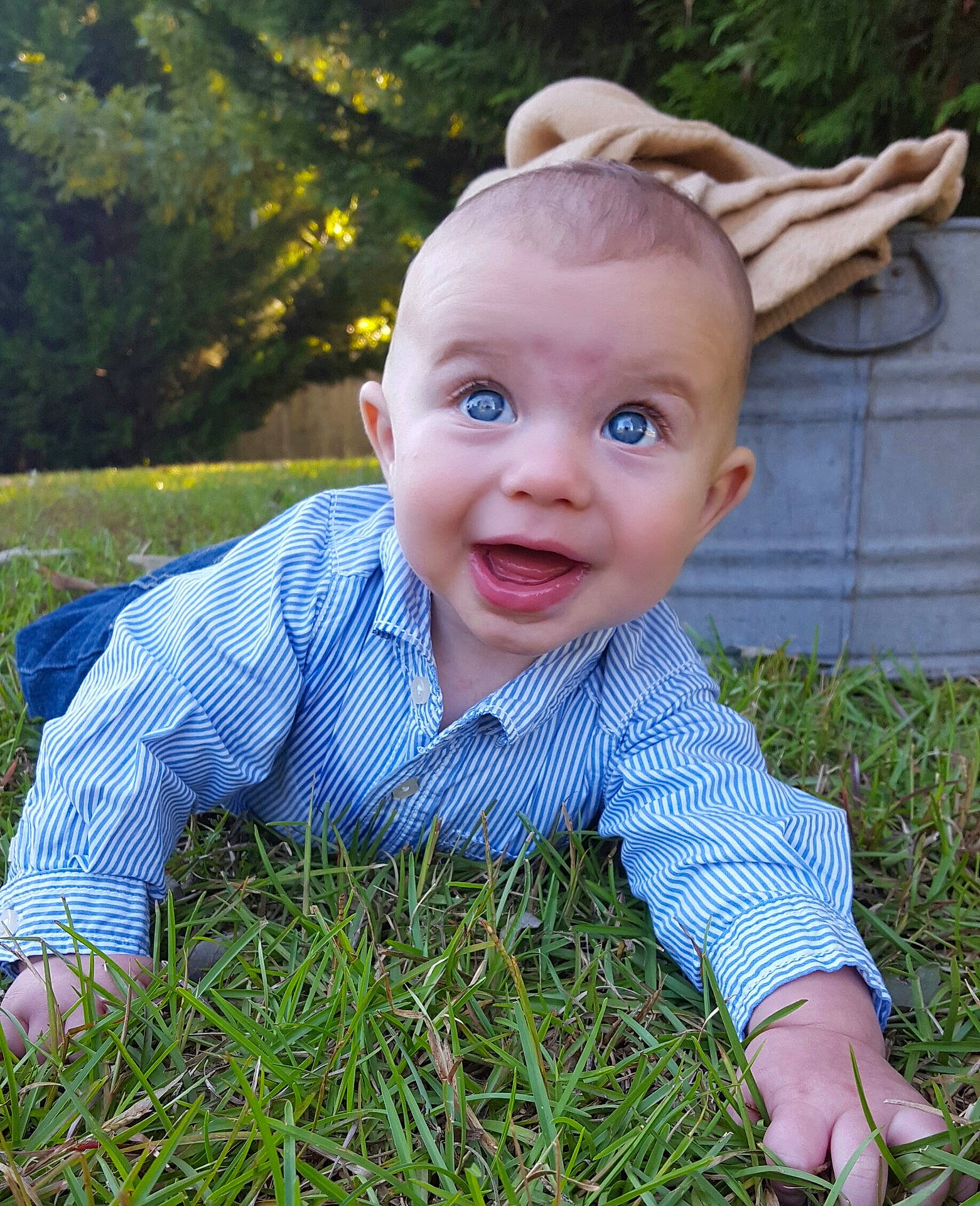 Renley is registered to the contest to win money with this photo: boy, child, emotion, eye, face, facial_expression, fun, grass, happiness, head, infant, person, plant, play, portrait_photography, skin, smile, toddler, tree