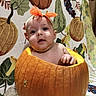 baby, child, infant, pumpkin, halloween, autumn, orange, bow, headband, smiling, portrait, close_up, sitting, costume, harvest, fall, floral_background, blanket, indoor, cute