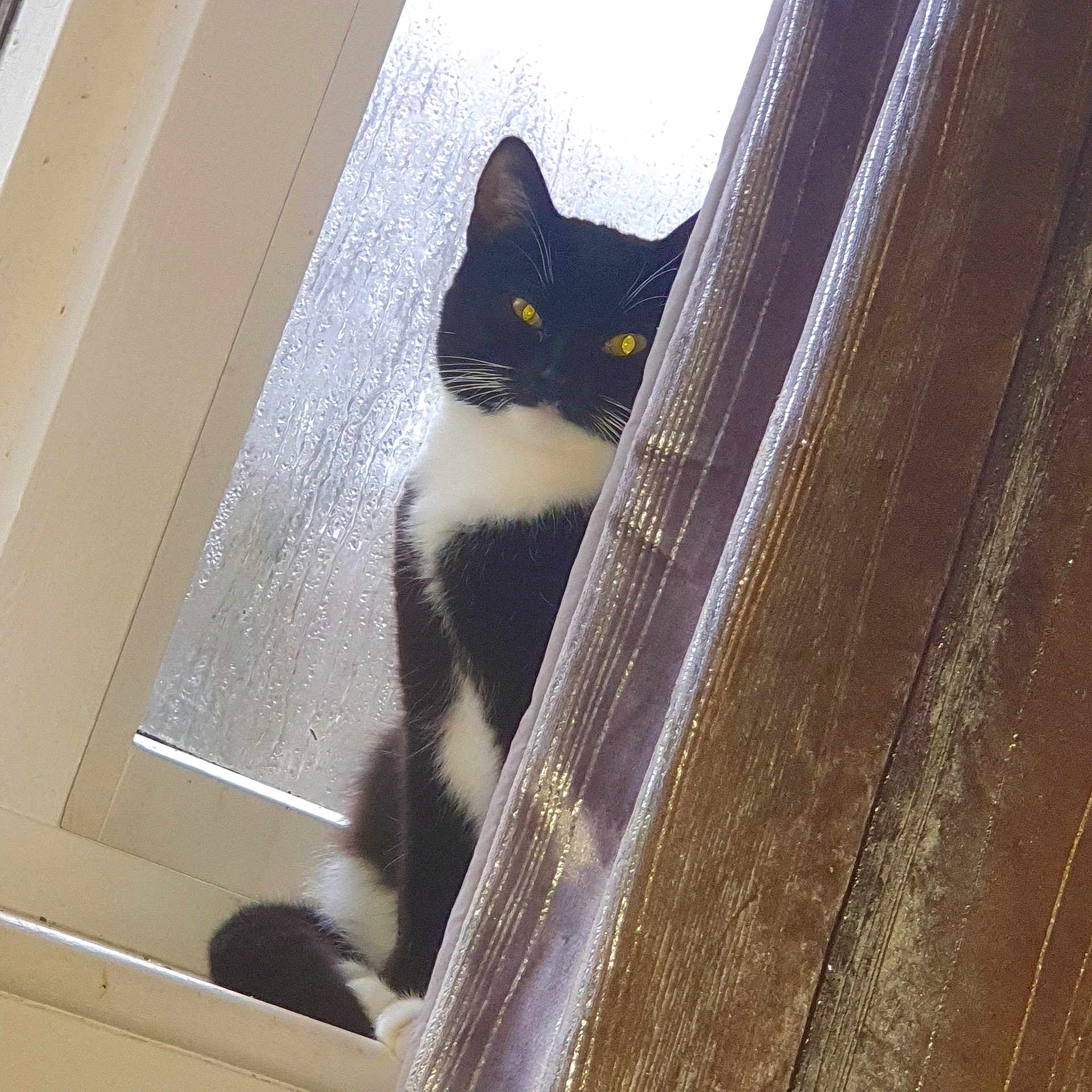 Luna
