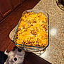 Stitch is registered to the contest to win money with this photo: dog, casserole, food, kitchen, countertop, cheese, baked, glass_baking_dish, wood_floor, cabinet, pet, curious, sniffing, indoor, home, meal, table, closeup, appetizing, delicious