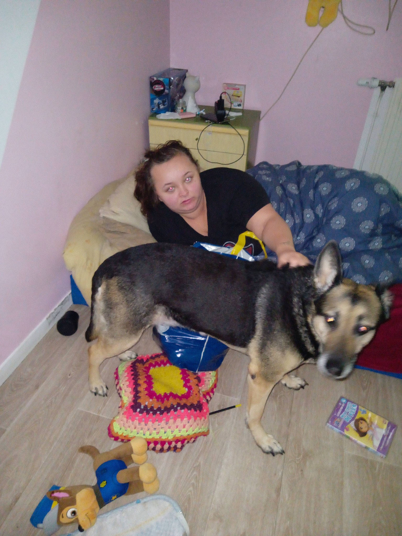 Princesse participe au concours pour gagner de l'argent avec cette photo : canidae, carnivore, chair, comfort, companion_dog, dog, dog_breed, dog_supply, flooring, fur, pet_supply, picture_frame, room, sharing, sitting, sporting_group, tail, working_animal, working_dog