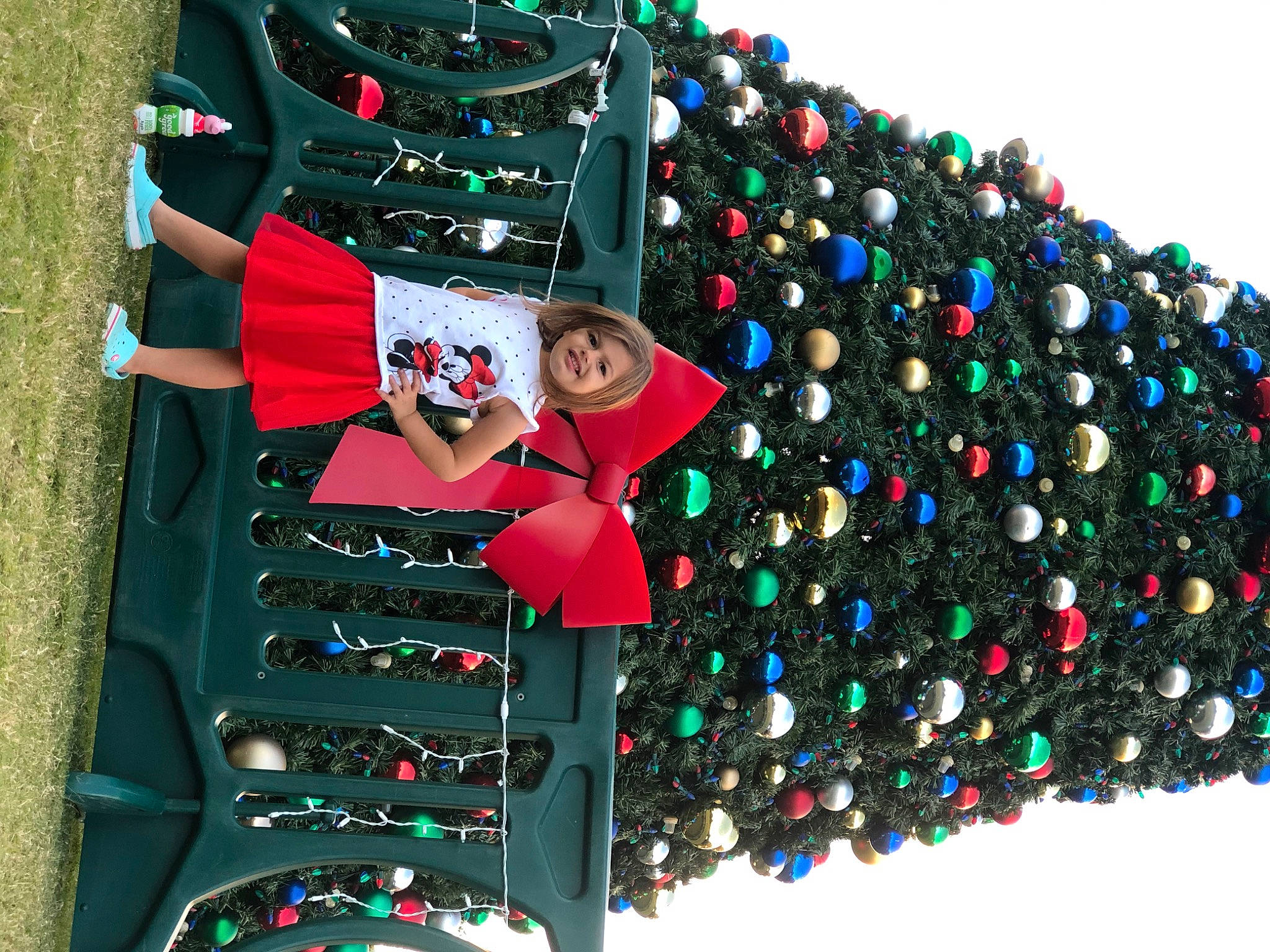 Calie joined the competition — help win amazing prizes! carmine, christmas_decoration, christmas_ornament, christmas_tree, conifer, design, event, fashion_accessory, fun, holiday, holiday_ornament, joy, ornament, party_supply, person, plant, plastic, pole, sky, textile