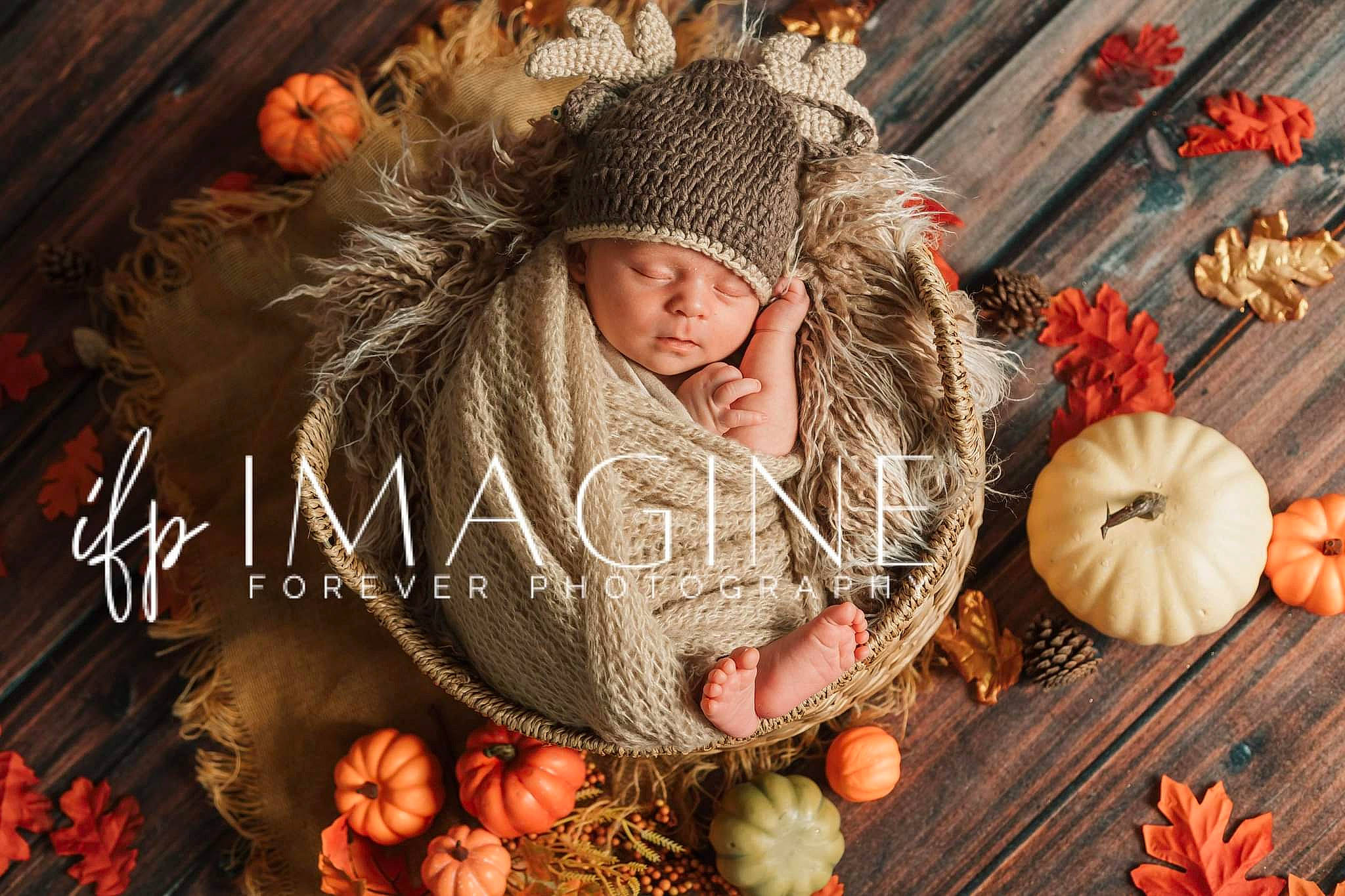 Jakob is registered to the contest to win money with this photo: calabaza, cap, cucurbita, fur, fur_clothing, gourd, headwear, local_food, natural_foods, people_in_nature, person, plant, produce, pumpkin, squash, still_life_photography, superfood, tree, vegetable, whole_food