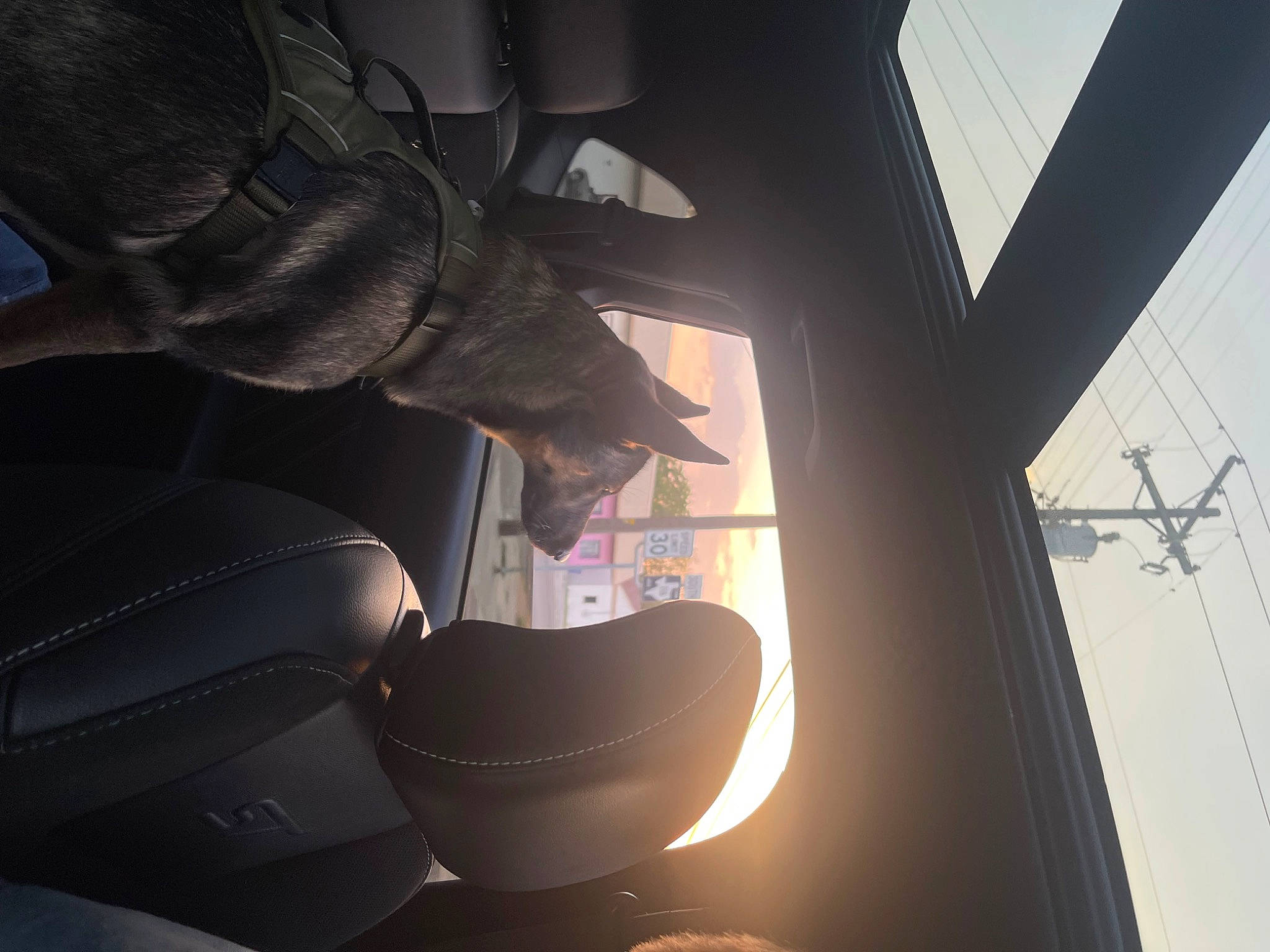 Nala joined the competition — help win amazing prizes! auto_part, automotive_design, automotive_exterior, automotive_lighting, automotive_tire, automotive_wheel_system, car, car_seat, darkness, glass, head_restraint, human_leg, lighting, motor_vehicle, personal_luxury_car, sky, tints_and_shades, vehicle, vehicle_door, window