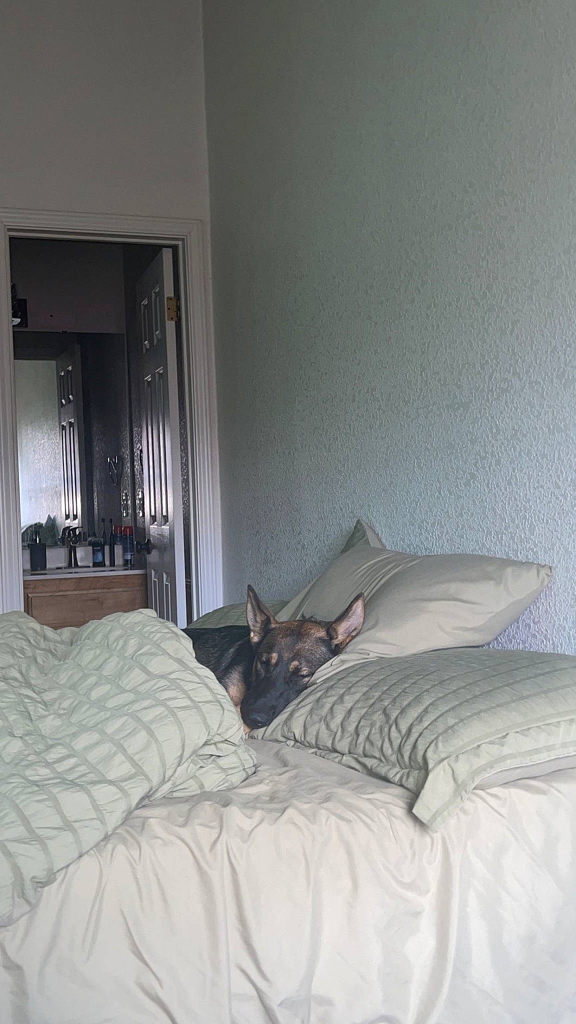 Nala is registered to the contest to win money with this photo: bed, bed_frame, bedding, bedroom, building, ceiling, comfort, floor, flooring, furniture, grey, hardwood, house, interior_design, lamp, linens, shade, tints_and_shades, window_treatment, wood