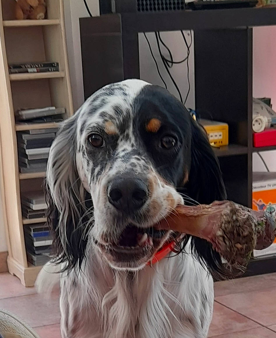 Rosko