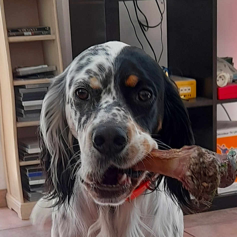 Rosko