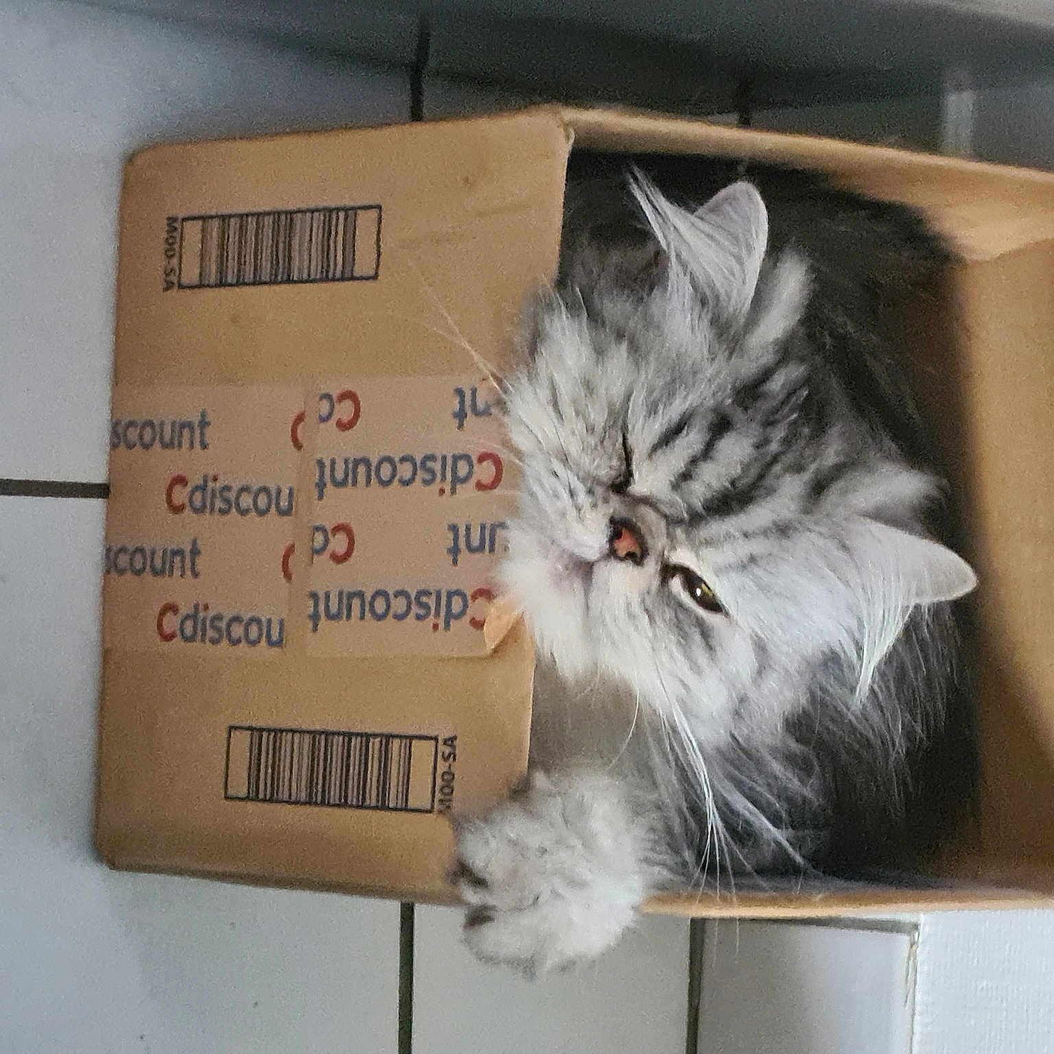 Ottawa