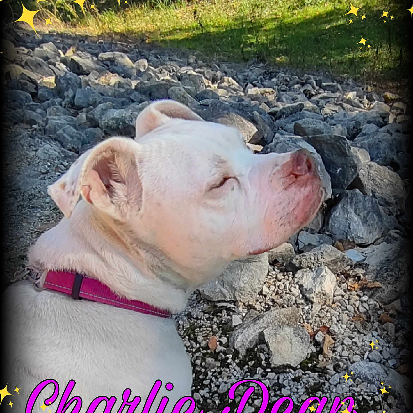 Charlie