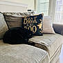 animal, black_cat, blinds, cat, comfortable, couch, cozy, decor, domestic, furniture, home, indoor, living_room, pet, pillow, relaxing, resting, sleeping, soft_light, sunlight