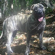 Jaina a rejoint le concours — aidez-le/la à gagner de superbes lots !