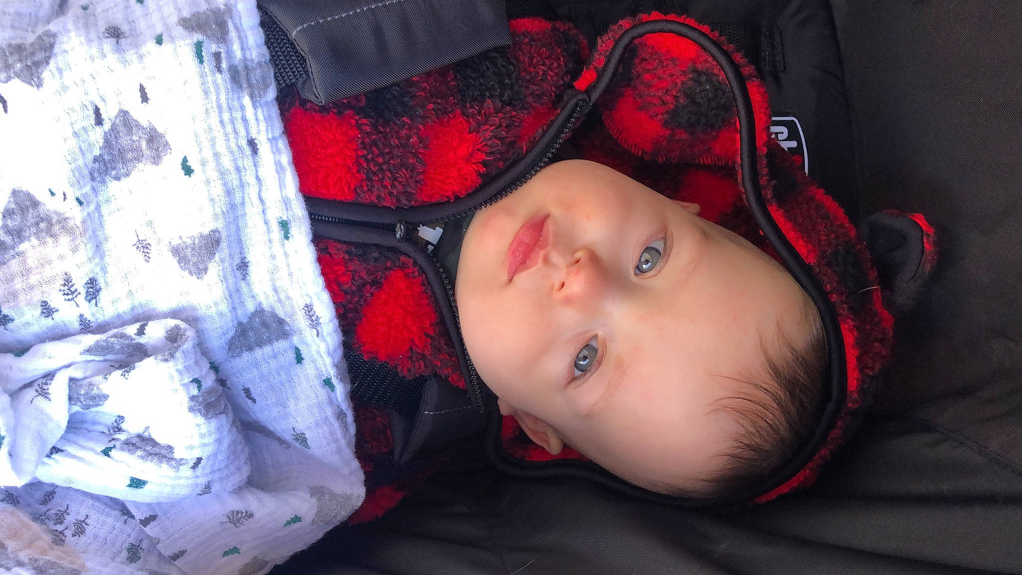 Teddy is registered to the contest to win money with this photo: baby, baby_toddler_clothing, cheek, chin, comfort, cool, eye, flash_photography, head, iris, lip, mouth, nose, pattern, person, plant, red, skin, textile, toddler