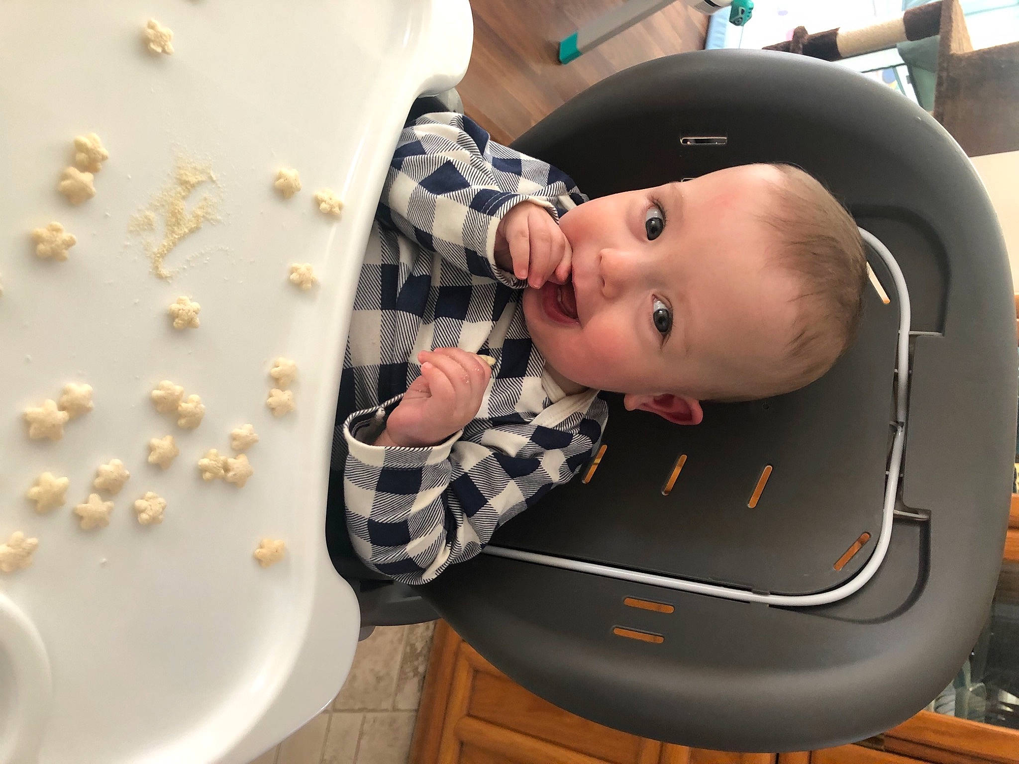 Teddy joined the competition — help win amazing prizes! baby, baby_products, baby_toddler_clothing, chair, child, circle, comfort, dishware, helmet, linens, pattern, person, personal_protective_equipment, plate, platter, porcelain, serveware, sitting, sleeve, tableware
