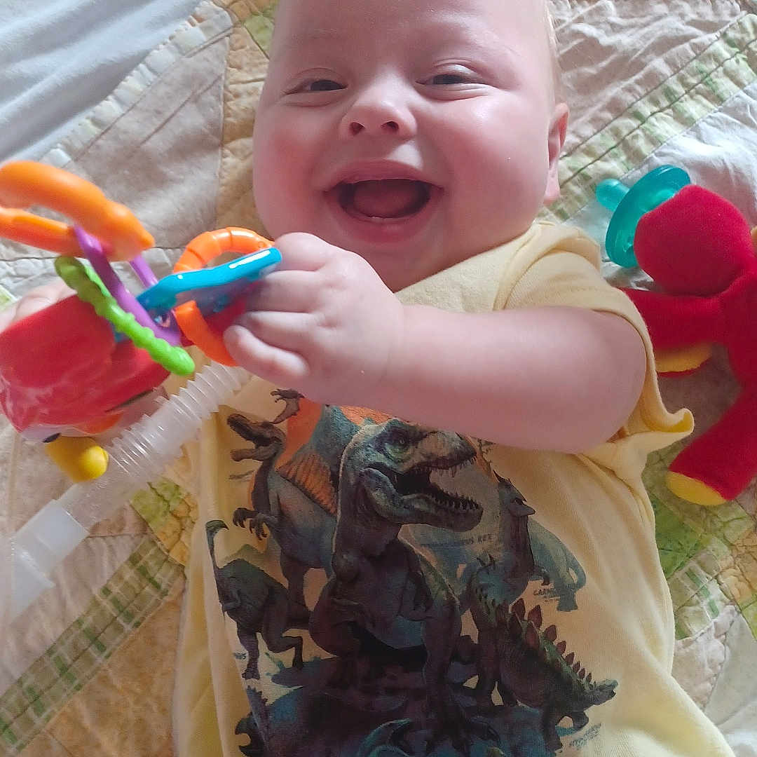 Cylas joined the competition — help win amazing prizes! animal, baby, blanket, clothing, cushion, dinosaur, face, furniture, happy, head, homedecor, laughing, newborn, person, photography, portrait, quilt, reptile, t_shirt, toy