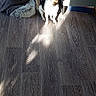 dog, sunlight, floor, pet_bed, blanket, armchair, wood_floor, indoor, cozy, furniture, shadow, small_dog, comfortable, home, resting_spot, quiet, relaxation, domestic, daylight, living_room
