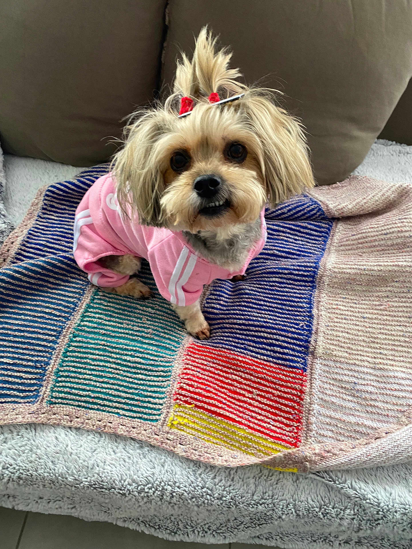 Lola